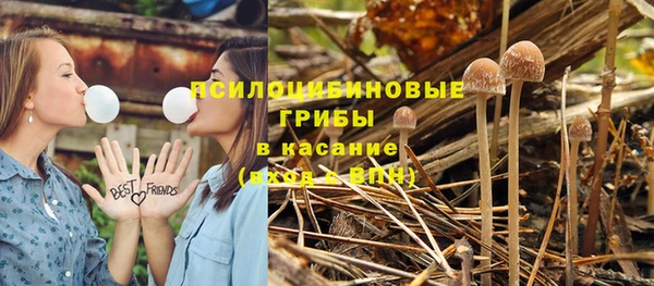 трава Бугульма