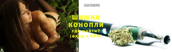 твердый Бронницы