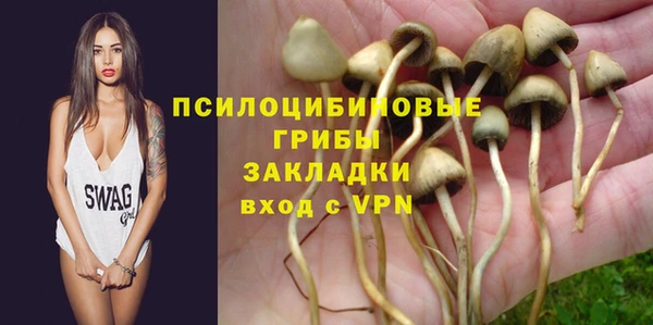 ешки Верея
