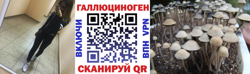 Галлюциногенные грибы GOLDEN TEACHER  даркнет сайт  Дятьково 